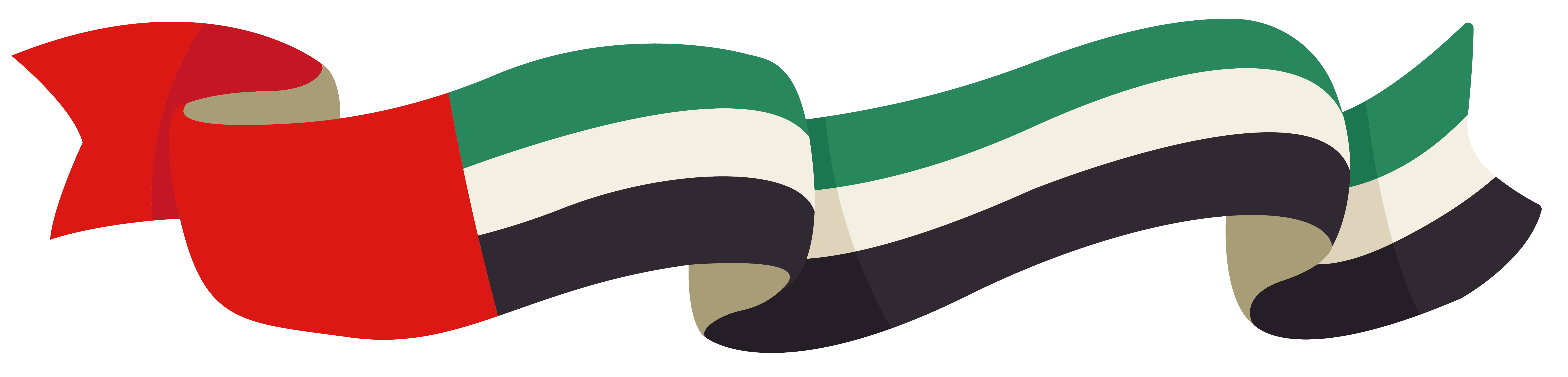 UAE flag