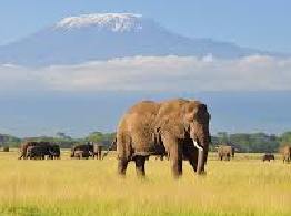 Kenya