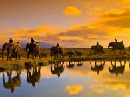 Krugar national park